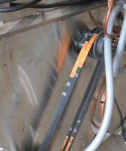 scalder belts