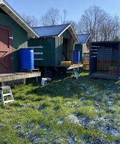 unloading pullets in the pasture.