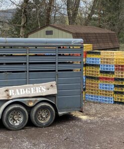 Badger's