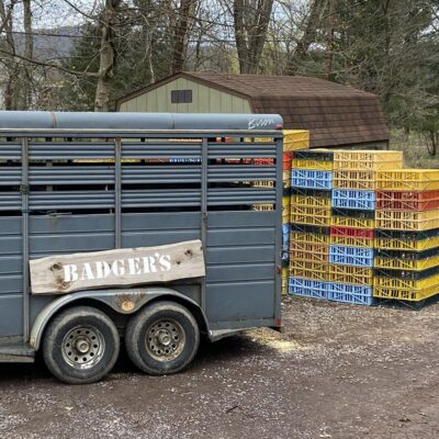 Badger's